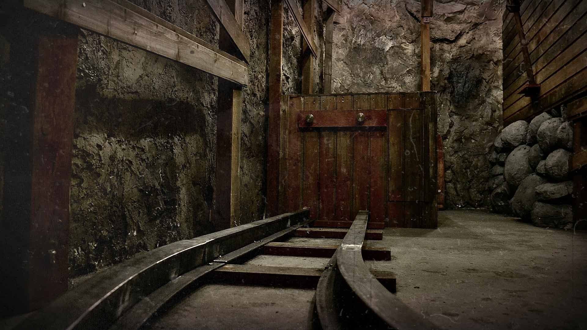 Mine - photo 3